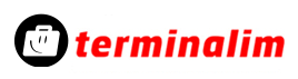 Online Bilet Terminalim